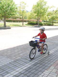 自転車の練習