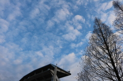 ある朝の空