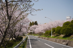 桜坂