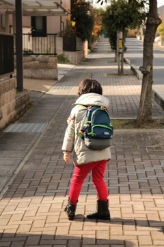 前からの姿を撮りたい