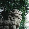 こまいぬ