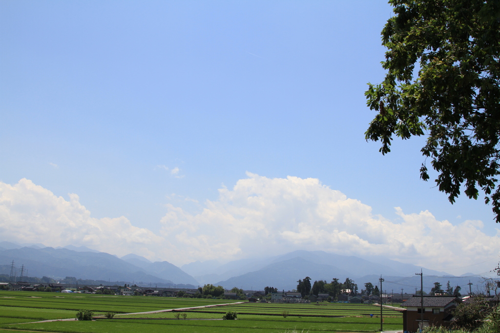 田園風景