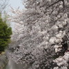 IMG_0019