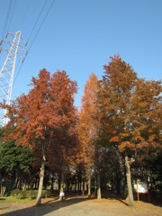 三橋総合公園入口