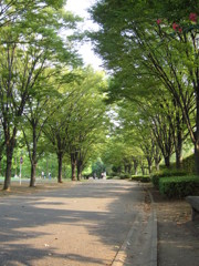 三橋総合公園