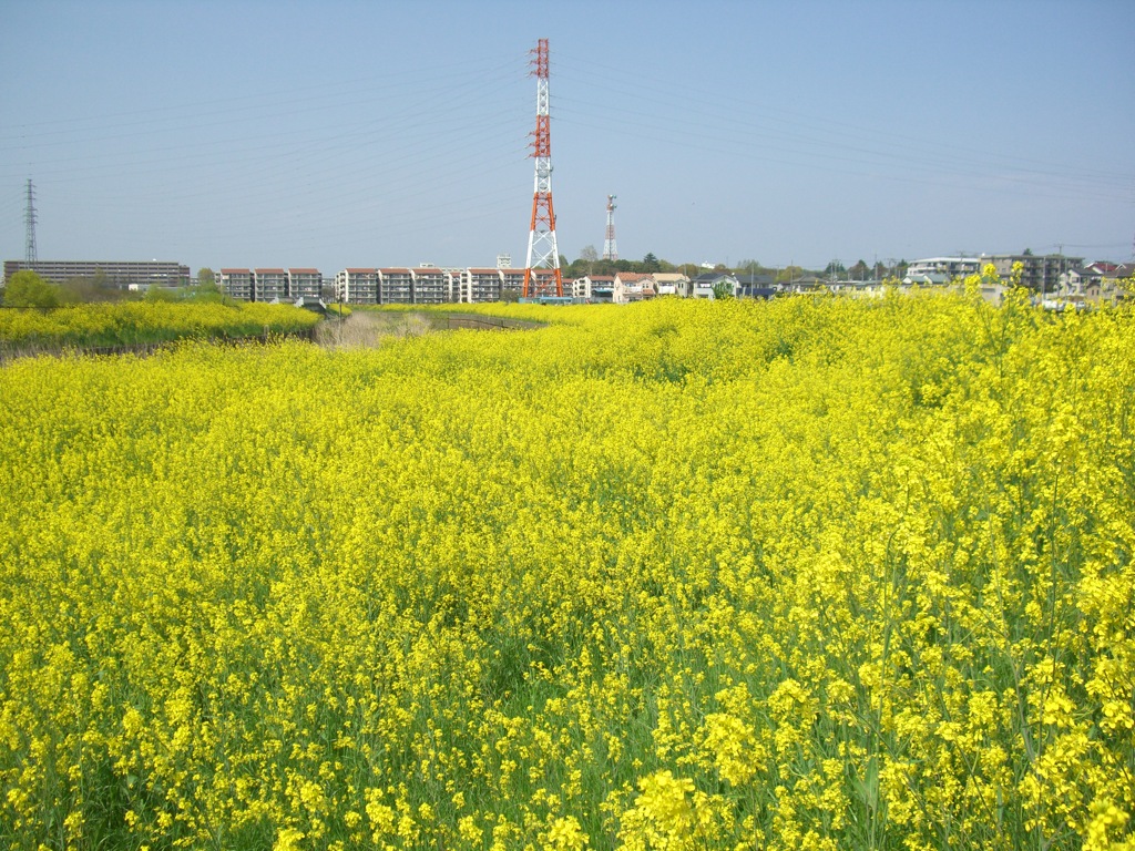 CIMG0002