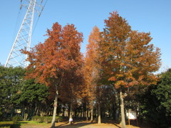 三橋総合公園入口2