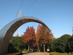 三橋総合公園入口3