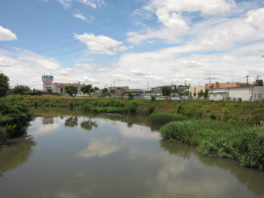 加茂川橋からバイパス