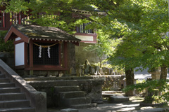 鹿児島神社7