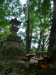 蒲生神社　６