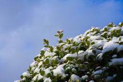 雪の公園3
