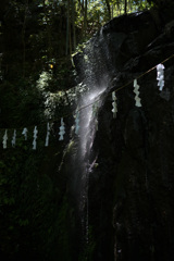 滝