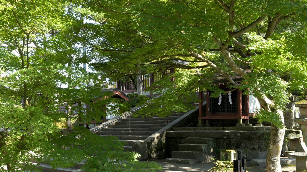 鹿児島神社1