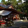 豊玉姫神社10