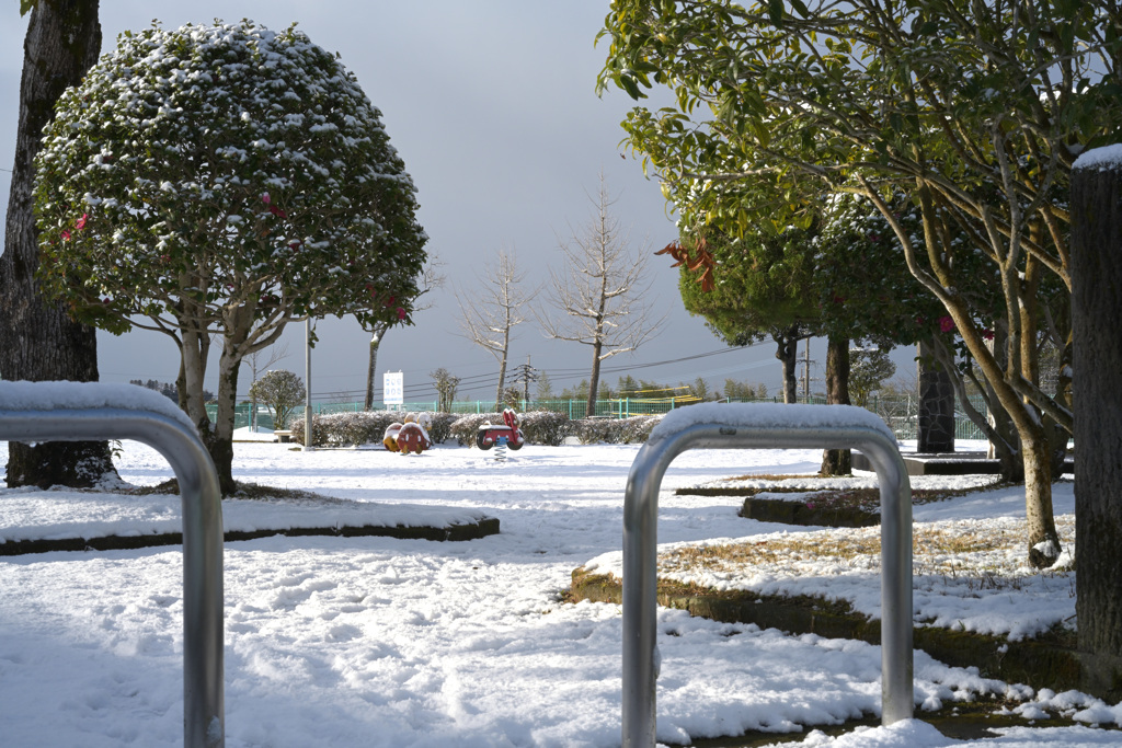 雪の公園1