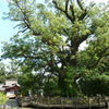 蒲生神社　１