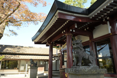 鹿児島神社8