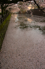 SDIM8939_2