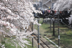 SDIM0976