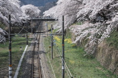 SDIM0960