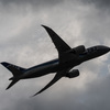787シルエット