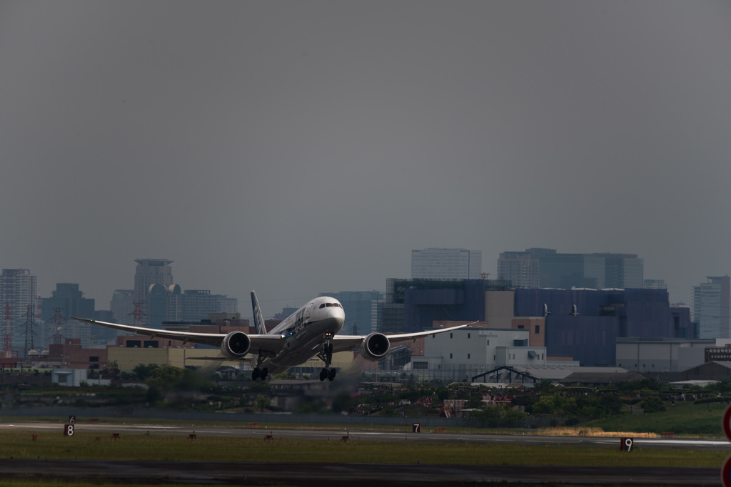 雨上がりの空に飛び立つ