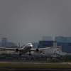 雨上がりの空に飛び立つ