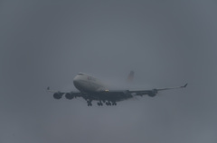 雲の中からこんにちわ