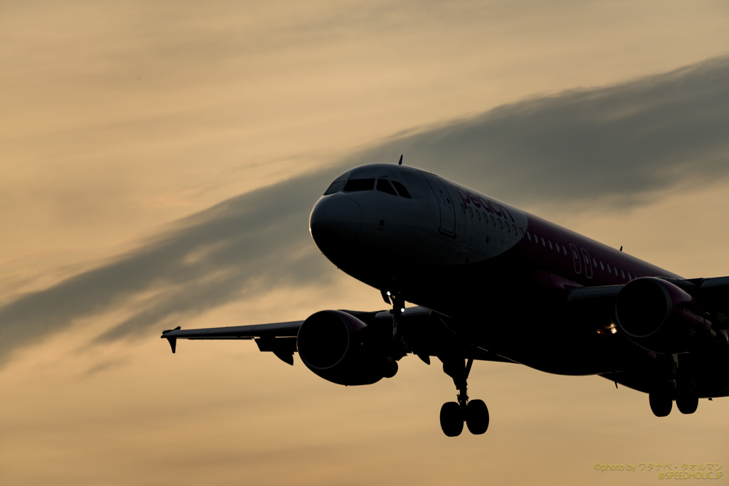 麗しのA320