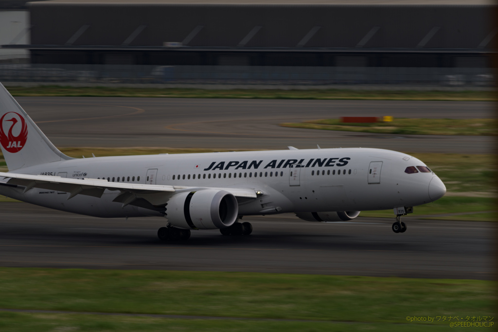 JAL787
