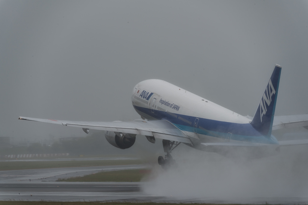 降ってきた！
