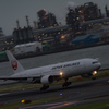 プラントに明かりが灯る時間
