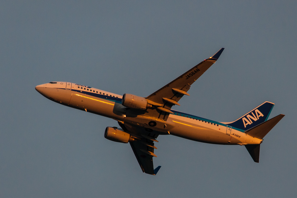 オレンジライン