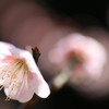 『 Two years later 』