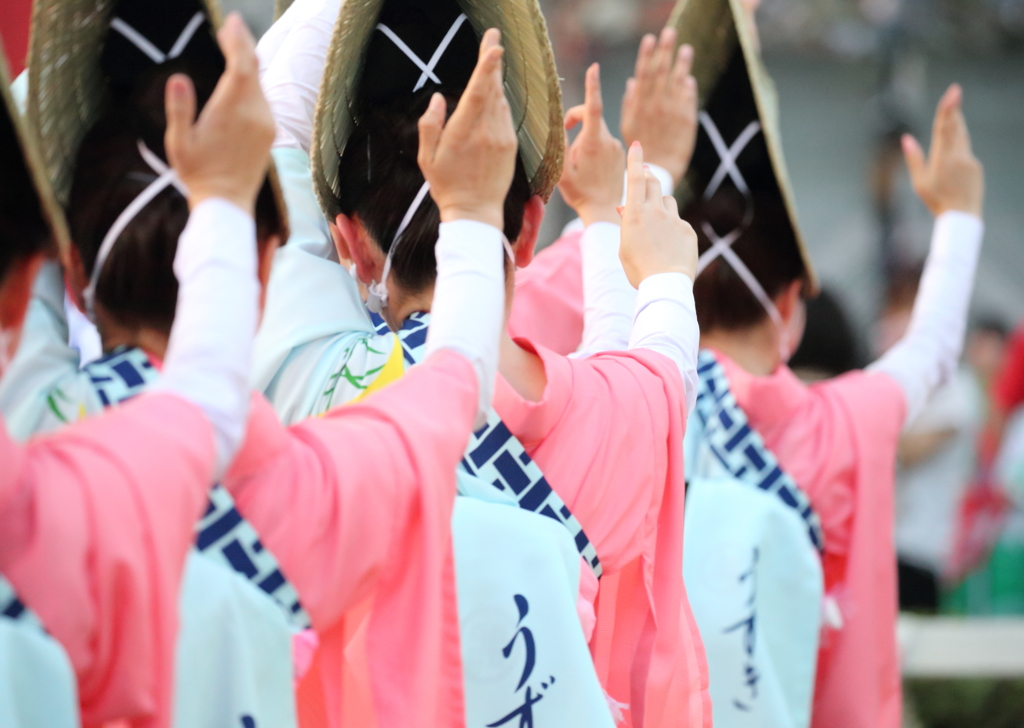 徳島阿波踊り2016