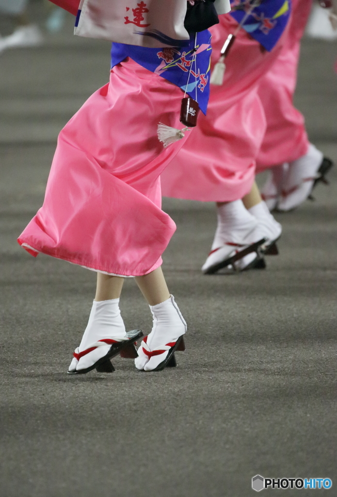 徳島阿波踊り2016