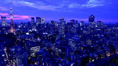 東京タワー@貿易センタービル1
