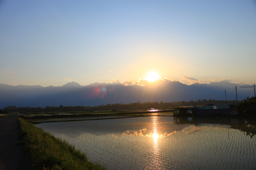 水田の鏡