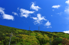 山