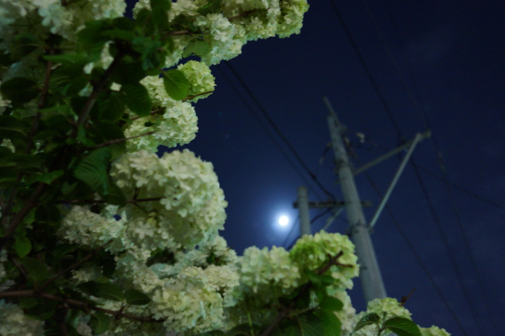月