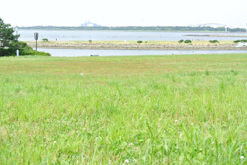 011＊向こうのジオラマ島。