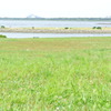 011＊向こうのジオラマ島。