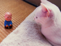 まるとおじいちゃん
