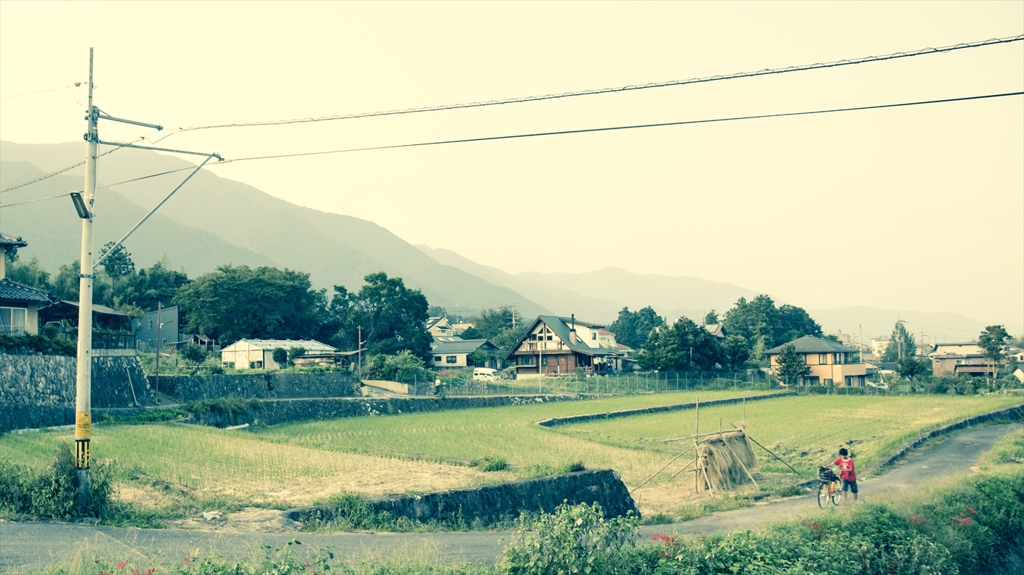 田舎道。