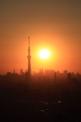 明日への希望