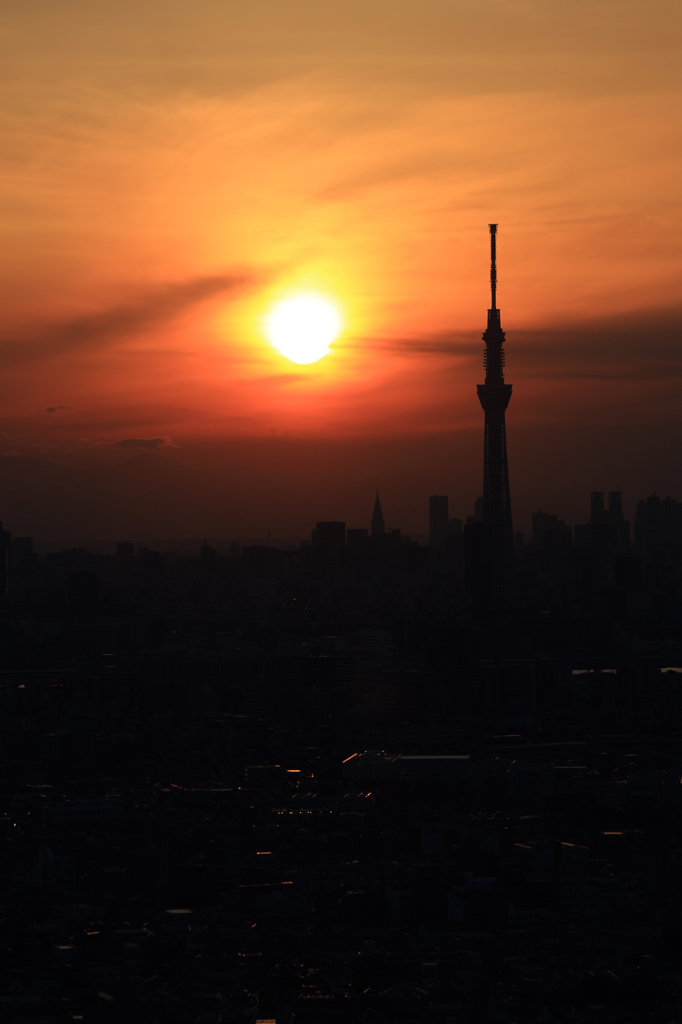 逢う魔が時