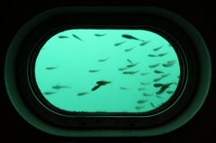 海中展望塔