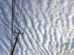 いわし雲