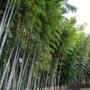 DSCF0022